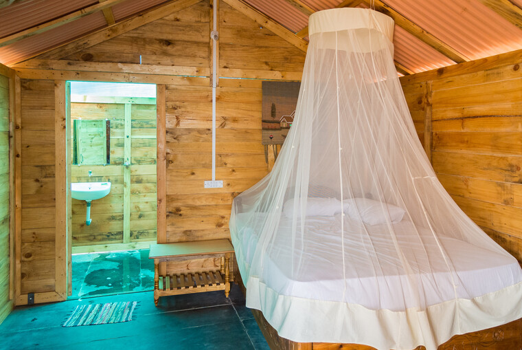 India 2014 - Goa 054.jpg